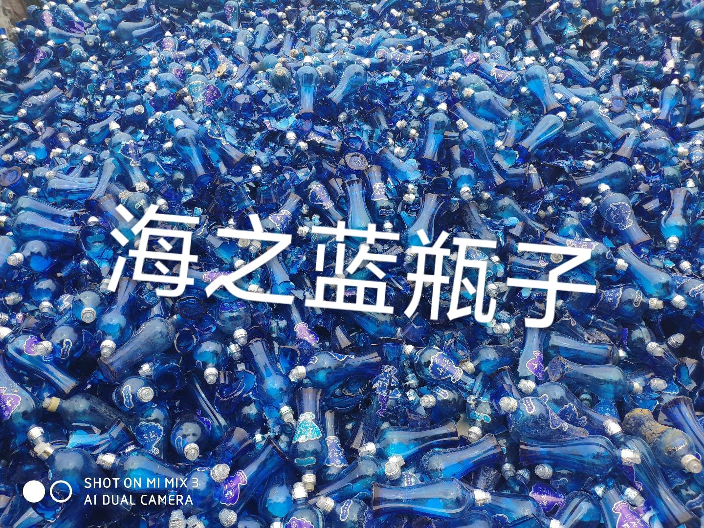 六合区海之蓝瓶回收